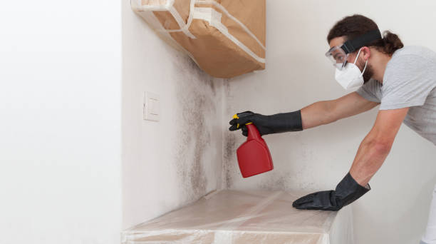 Professional Bathroom Mold Removal technician working in Wayland, MA
