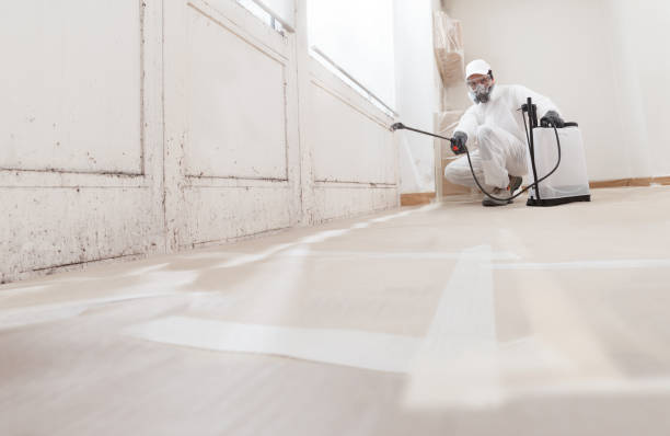 24/7 Emergency Bathroom Mold Removal experts in Wayland, MA